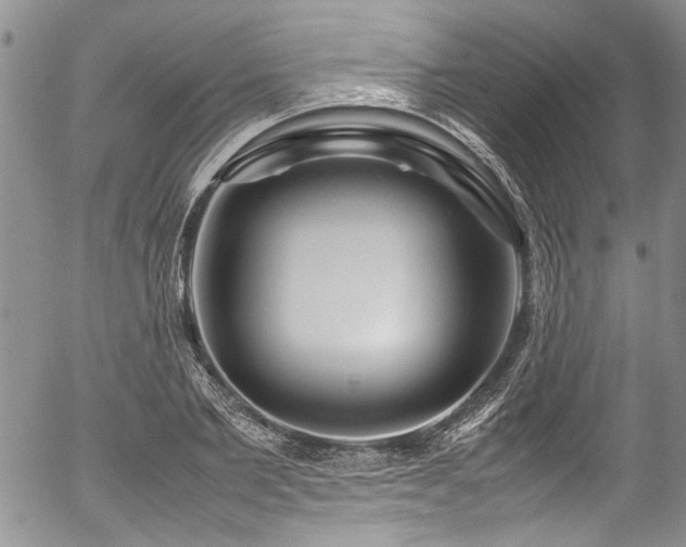 X0000054470885200507291344