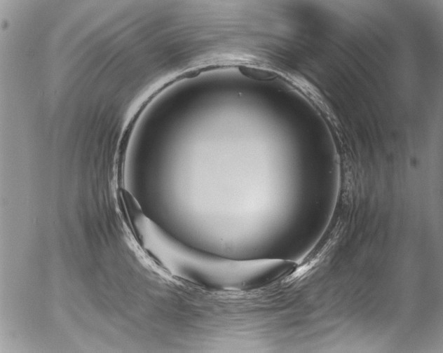 X0000054470904200507291344