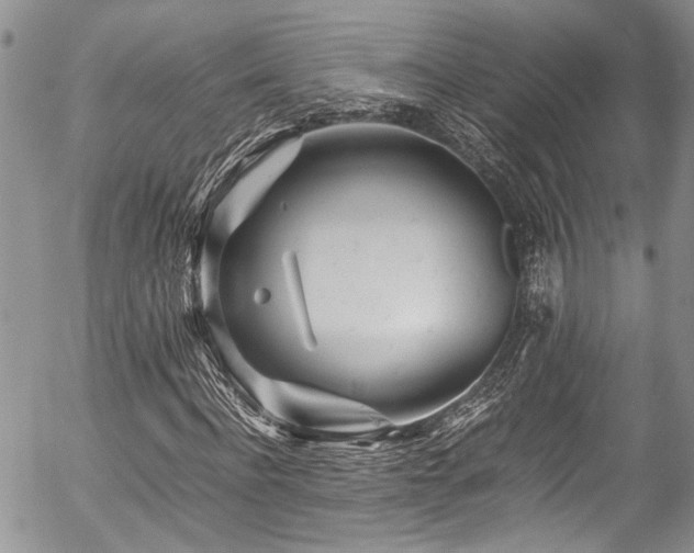 X0000054470916200507291343