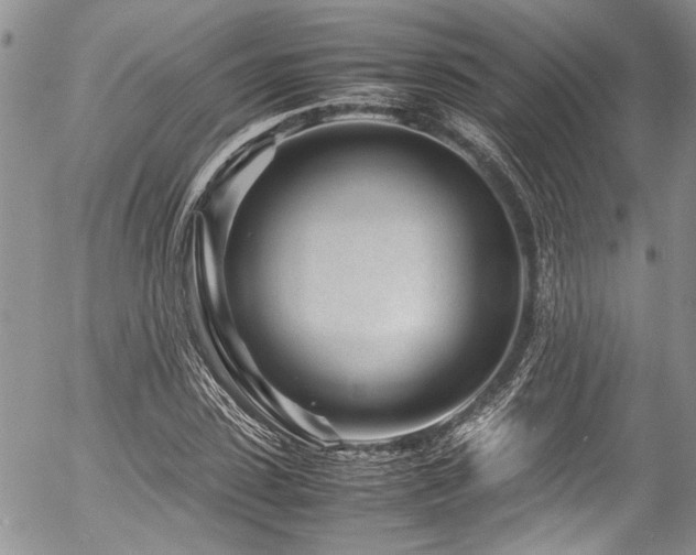 X0000054470923200507291343