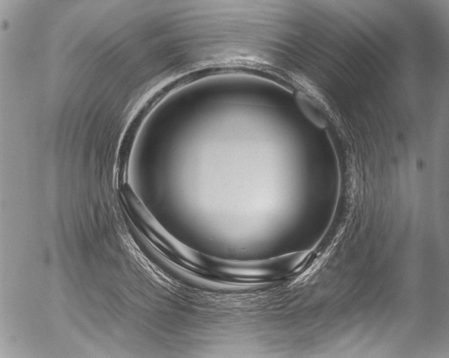 X0000054470932200507291343