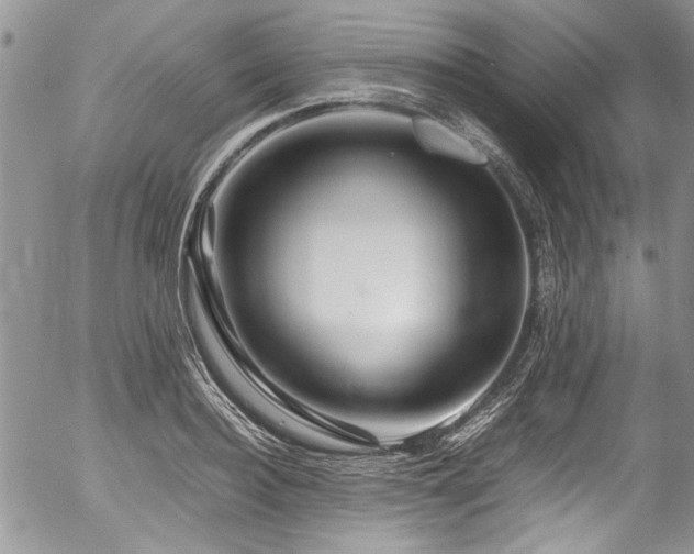 X0000054470940200507291343