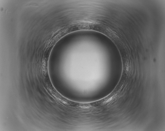 X0000054470964200507291343