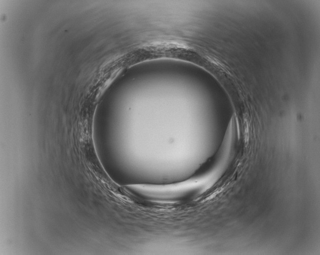 X0000054470965200507291343