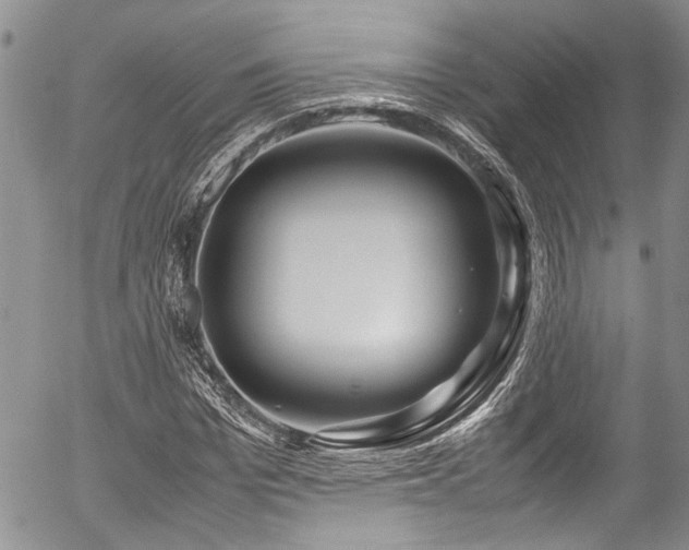 X0000054470969200507291343