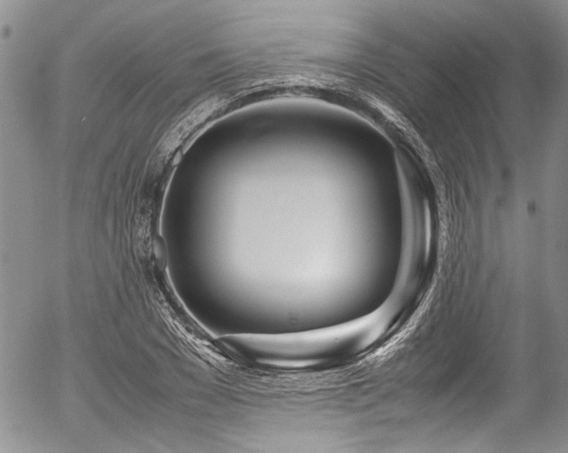 X0000054470977200507291343