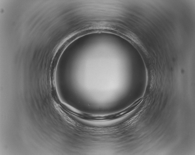 X0000054470980200507291343
