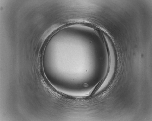 X0000054470983200507291343