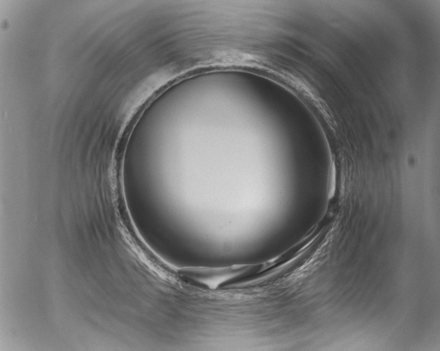 X0000054470990200507291342