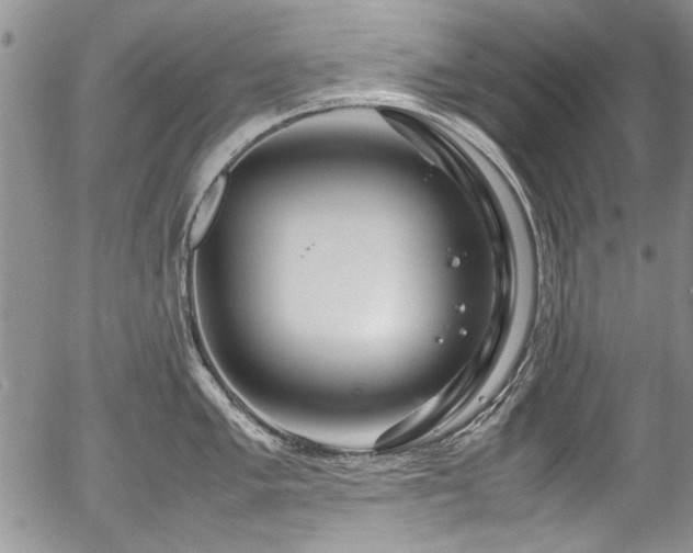 X0000054471005200507291342