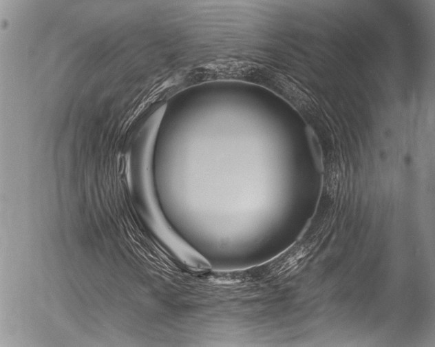 X0000054471010200507291341