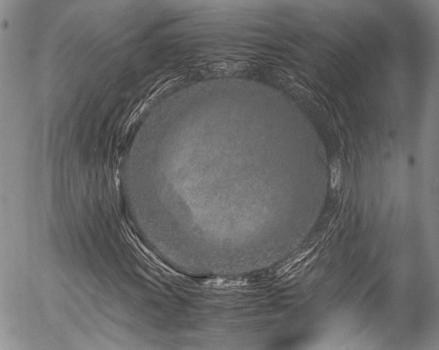 X0000054471011200507291341