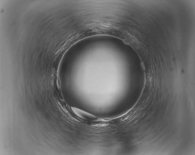 X0000054471012200507291341