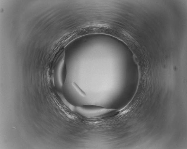 X0000054471014200507291341