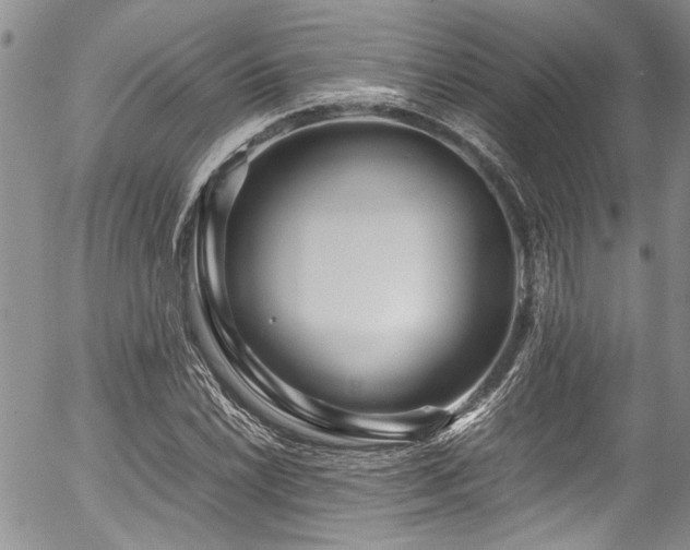 X0000054471022200507291342