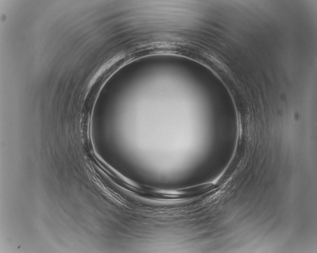 X0000054471026200507291342