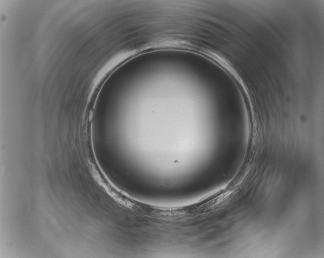 X0000054471053200507291342
