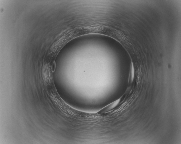 X0000054471058200507291341