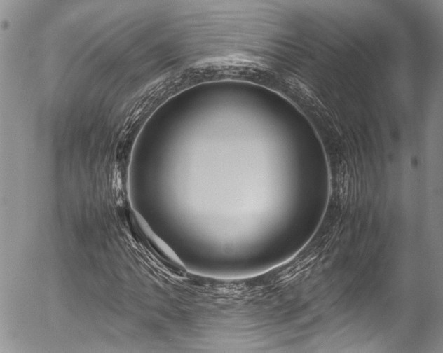 X0000054471062200507291341