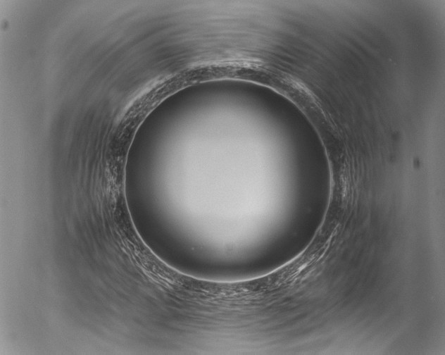 X0000054471064200507291341