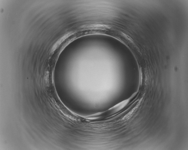 X0000054471066200507291341