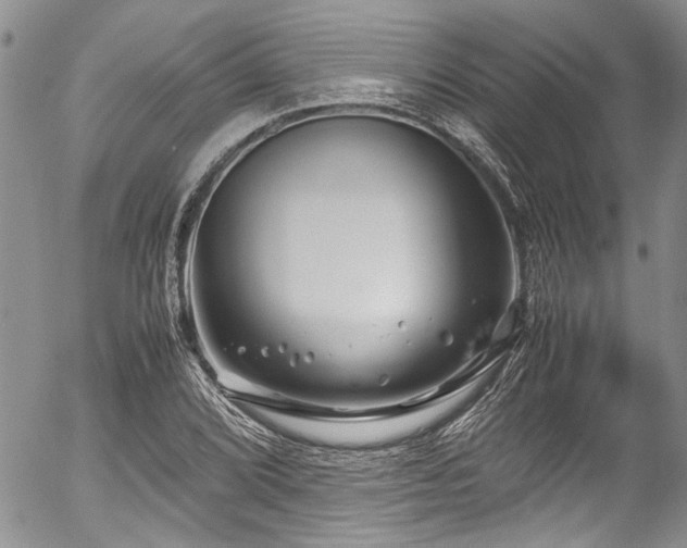 X0000054471072200507291341