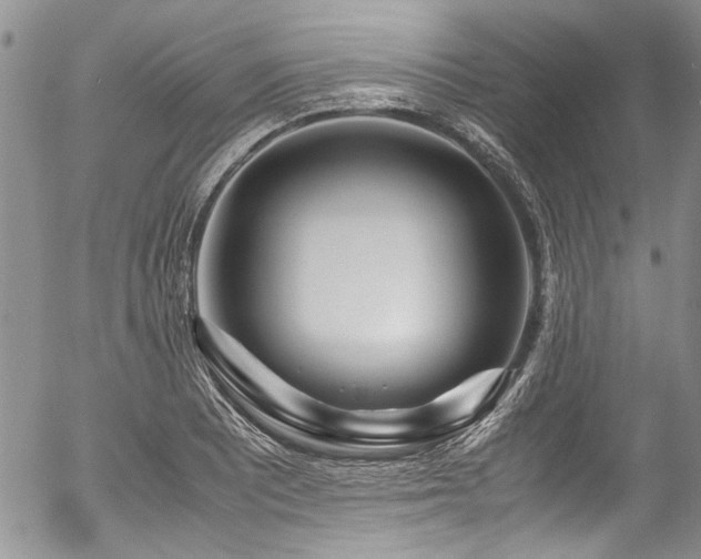 X0000054471081200507291341