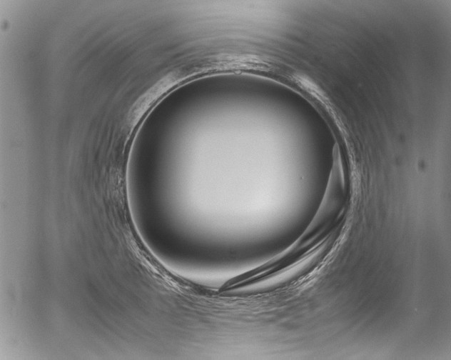 X0000054471089200507291341