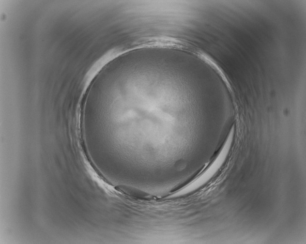 X0000054471099200507291341