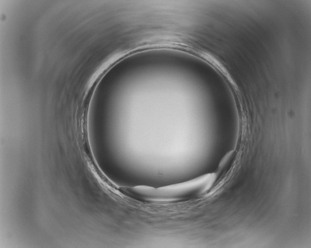 X0000054471101200507291341