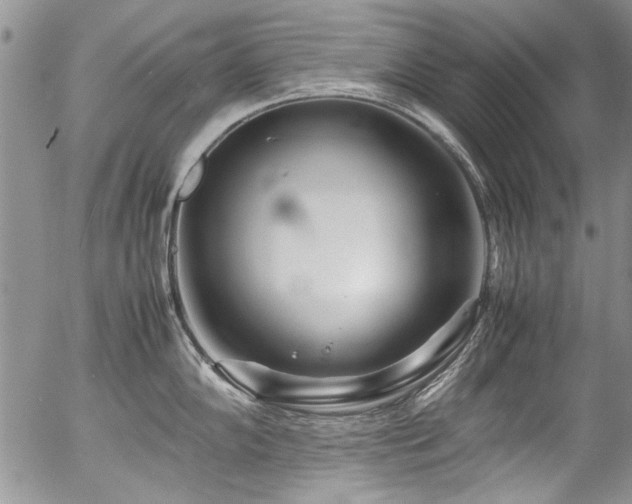 X0000054471102200507291341