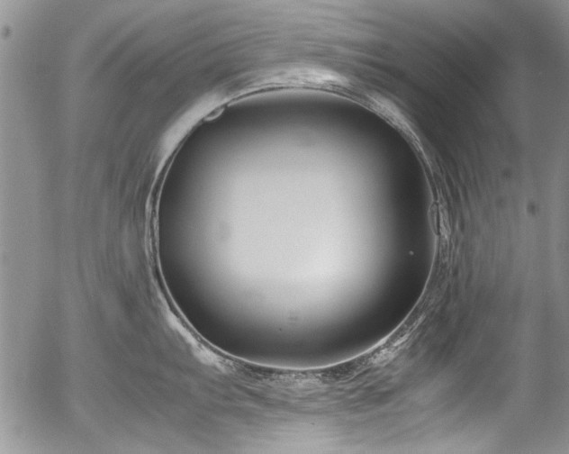 X0000054471103200507291341