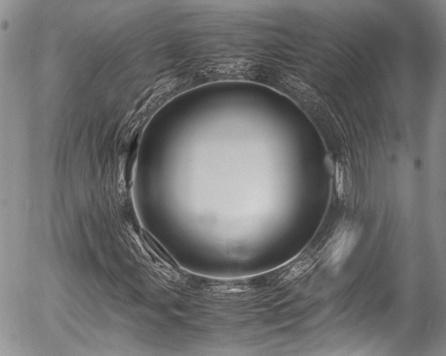 X0000054471107200507291340