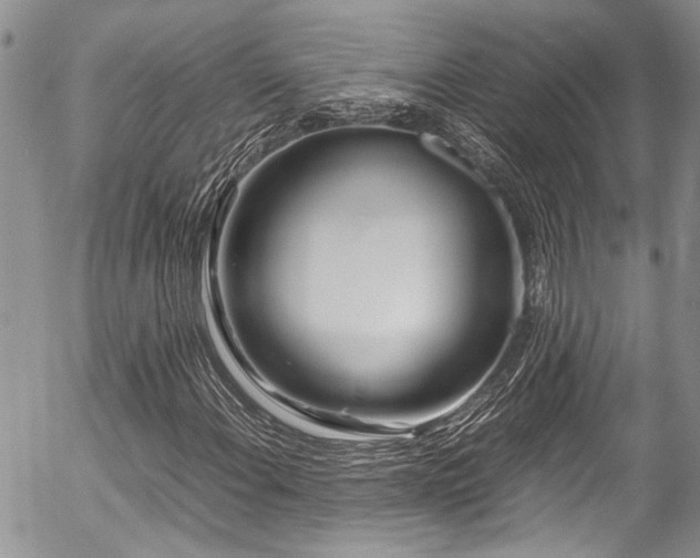 X0000054471108200507291340
