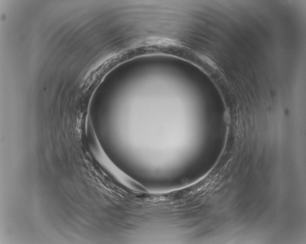 X0000054471112200507291340