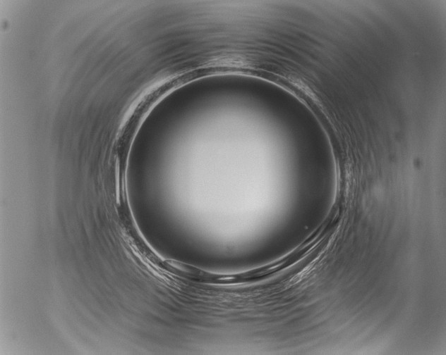 X0000054471123200507291340