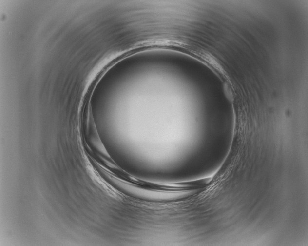 X0000054471132200507291340