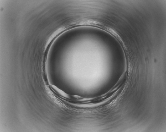 X0000054471138200507291340