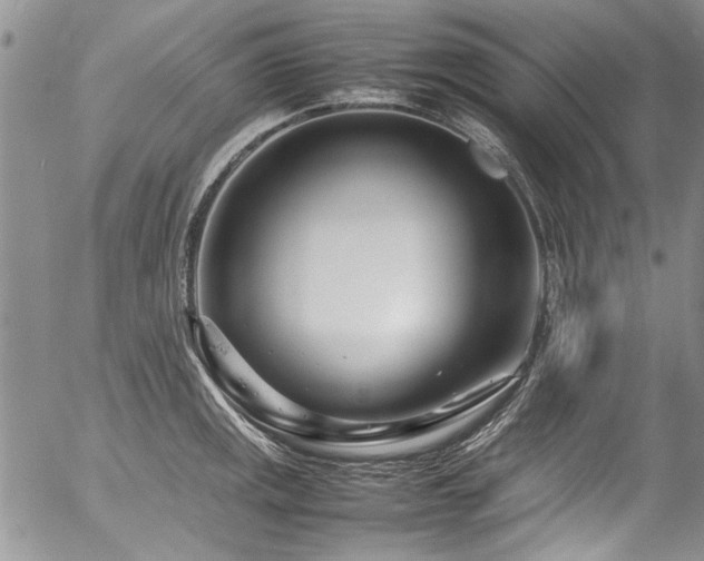 X0000054471141200507291340