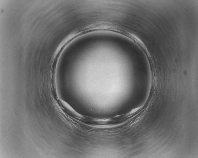 X0000054471146200507291340