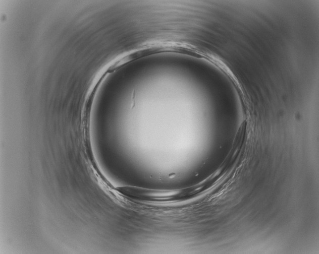 X0000054471148200507291341
