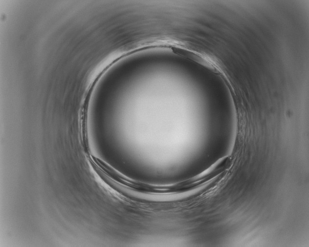 X0000054471151200507291341