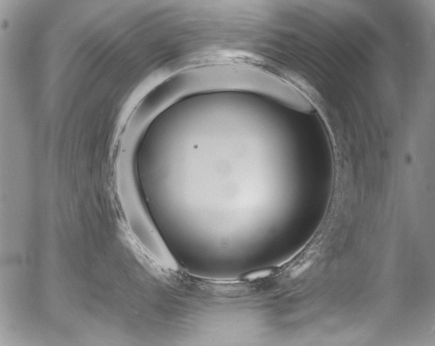 X0000054471152200507291341