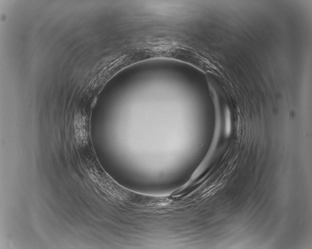 X0000054471156200507291340