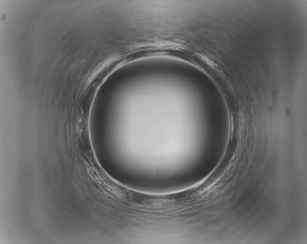 X0000054471163200507291340