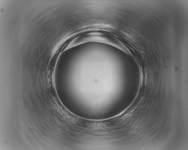 X0000054471164200507291340