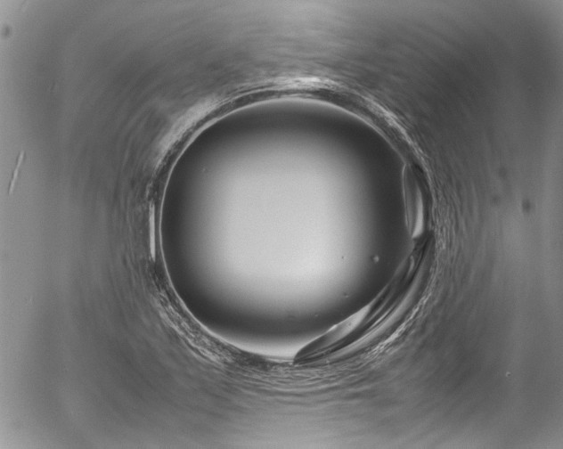 X0000054471171200507291339