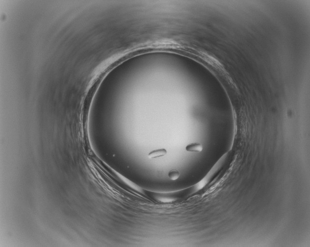 X0000054471176200507291339