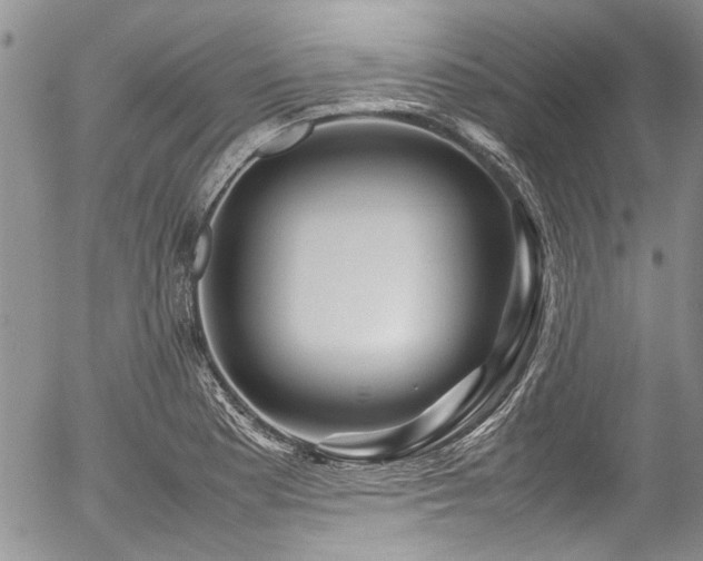X0000054471177200507291339