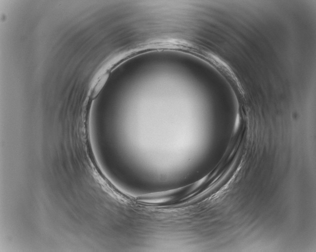 X0000054471192200507291339